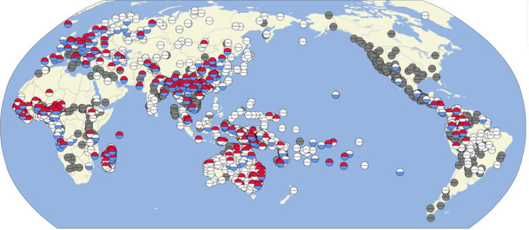 Languages of Asia: The Diversity and Beauty of Linguistic Heritage