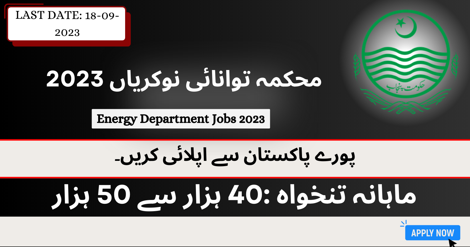 Energy Department Govt of Punjab Jobs