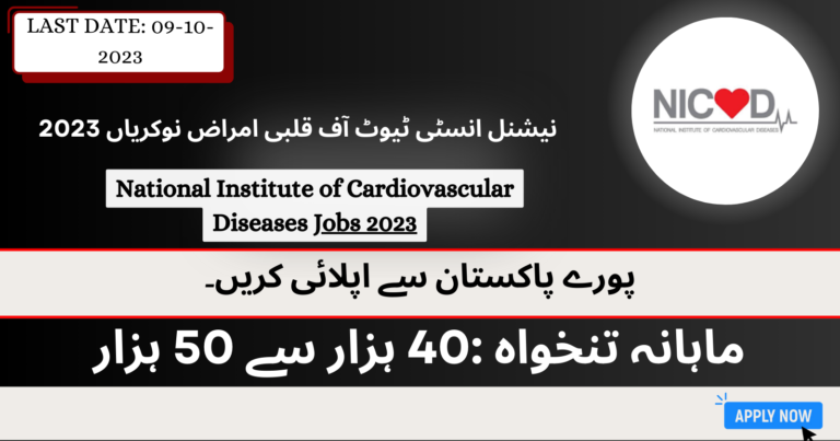 NICVD Jobs 2023