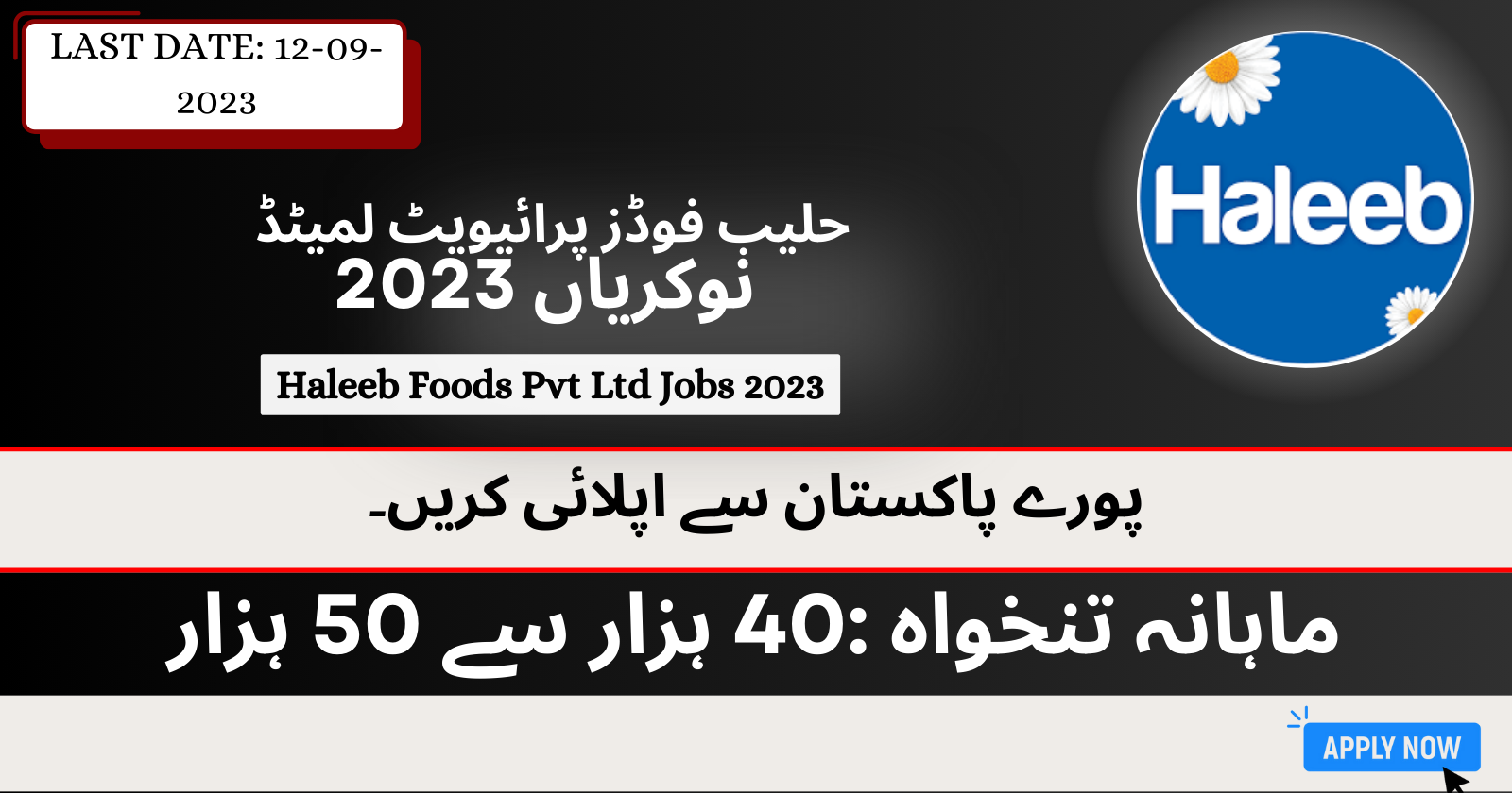 Haleeb Foods Pvt Ltd Jobs