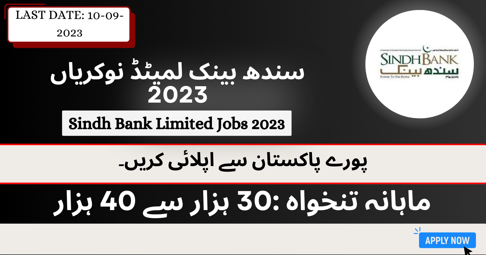 Sindh Bank Jobs 2023