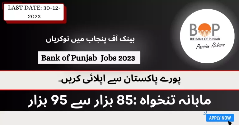 Latest Jobs in Bank of Punjab 2023 Apply Online – BOP Jobs 2023