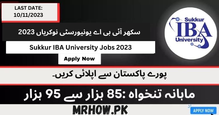 Sukkur IBA University Jobs 2023 | Apply now