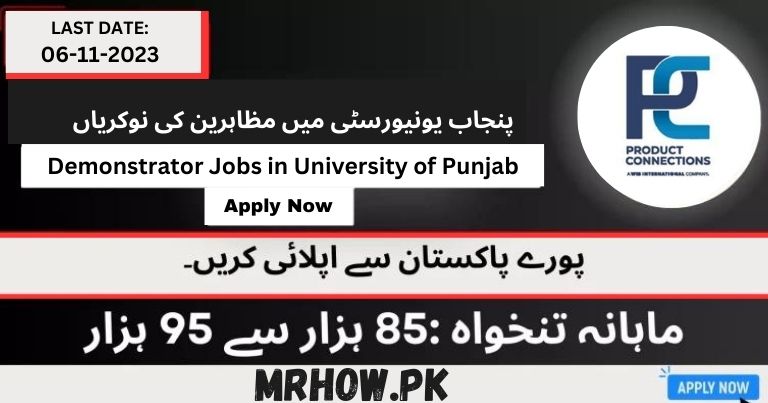 Demonstrator Jobs in University of Punjab | Apply Now