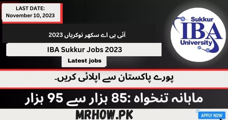 IBA Sukkur Jobs 2023 | Latest jobs