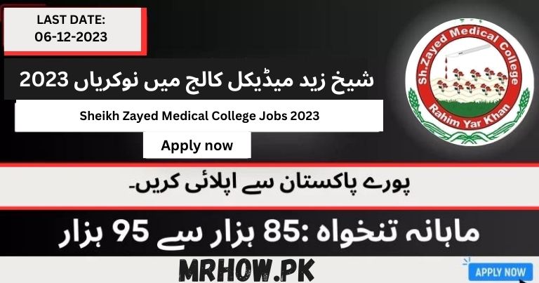 Sheikh Zayed Medical College Jobs 2023 | Apply Now