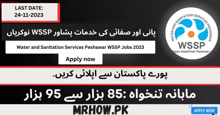 Water and Sanitation Services Peshawar WSSP Jobs 2023 | Apply Now